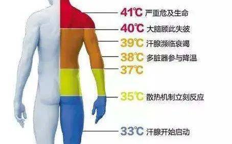 第四医学中心门诊部急诊医学科：成功救治热射病战士