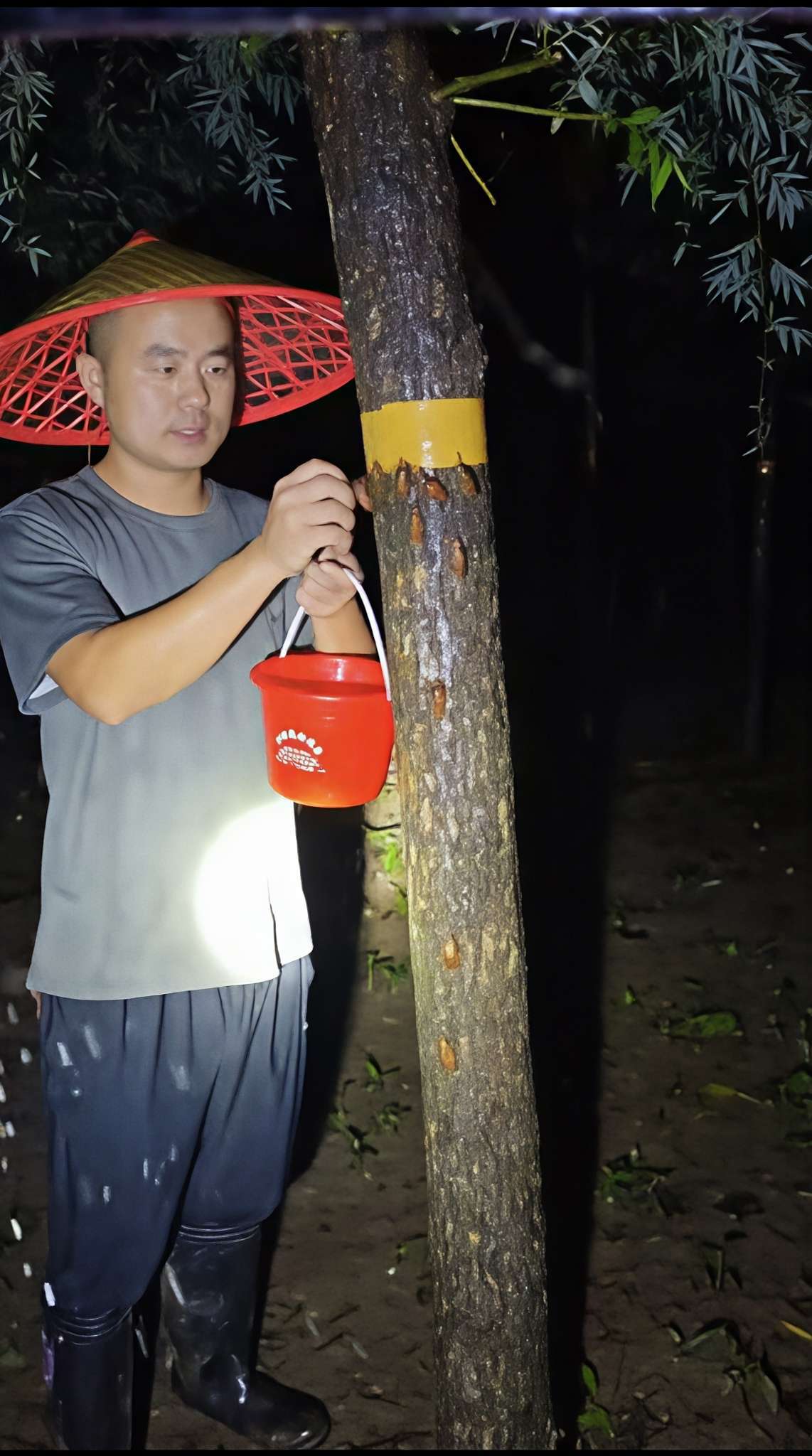 一只知了猴撬动致富产业！河南老乡：“一晚上收入一万有可能”