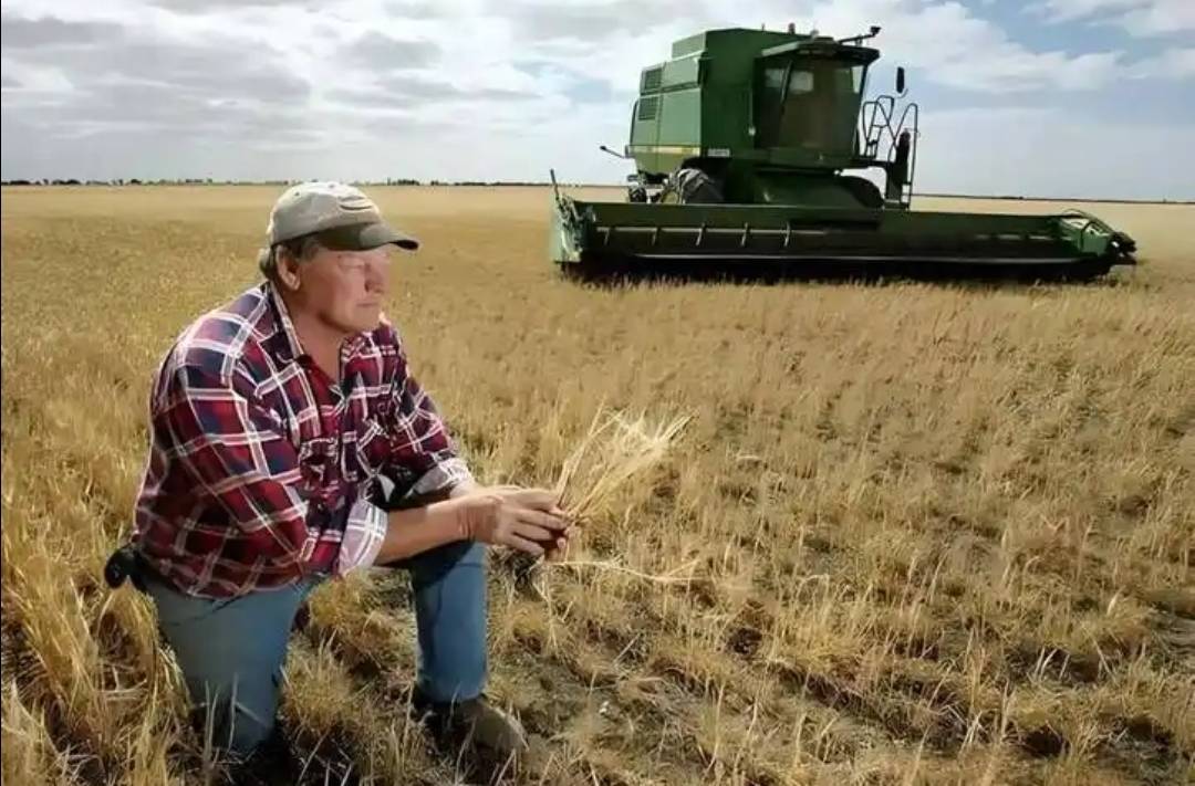 稀土卡脖子,美方军工企业停摆!美财长喊话:开出取消关税的条件,美农户输惨了