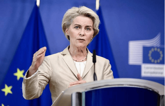 人还没到中国，下马威先来了？欧洲派人抵华前，先把矛头对准中企