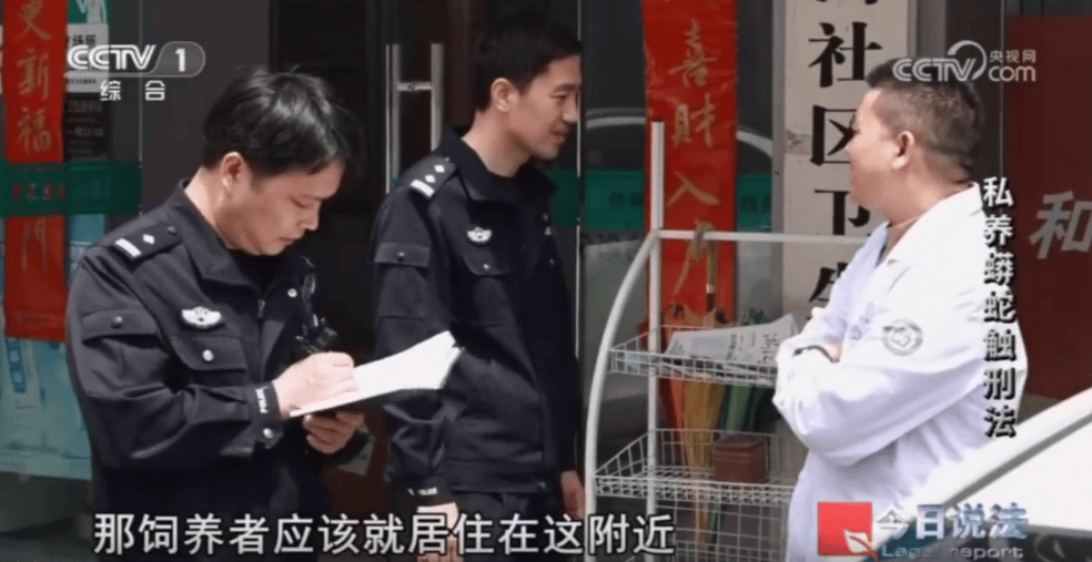 浙江男子在家里养300多条蟒蛇，涉案3000万，抓蛇现场，民警直呼毛骨悚然；男子：太痴迷了，感觉自己在造物