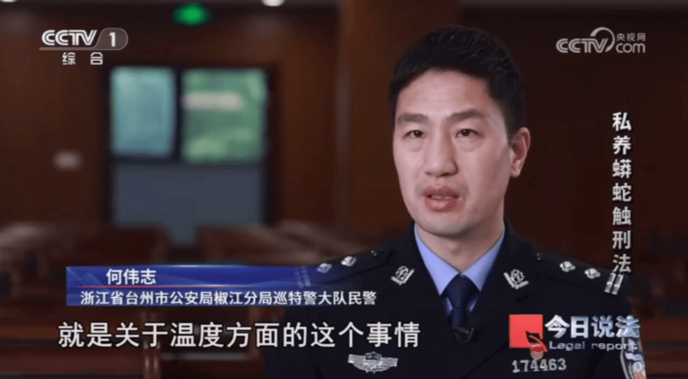 浙江男子在家里养300多条蟒蛇，涉案3000万，抓蛇现场，民警直呼毛骨悚然；男子：太痴迷了，感觉自己在造物