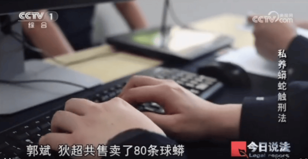 浙江男子在家里养300多条蟒蛇，涉案3000万，抓蛇现场，民警直呼毛骨悚然；男子：太痴迷了，感觉自己在造物