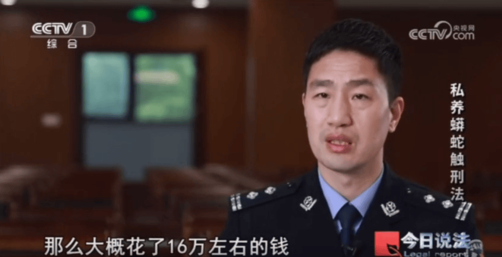 浙江男子在家里养300多条蟒蛇，涉案3000万，抓蛇现场，民警直呼毛骨悚然；男子：太痴迷了，感觉自己在造物