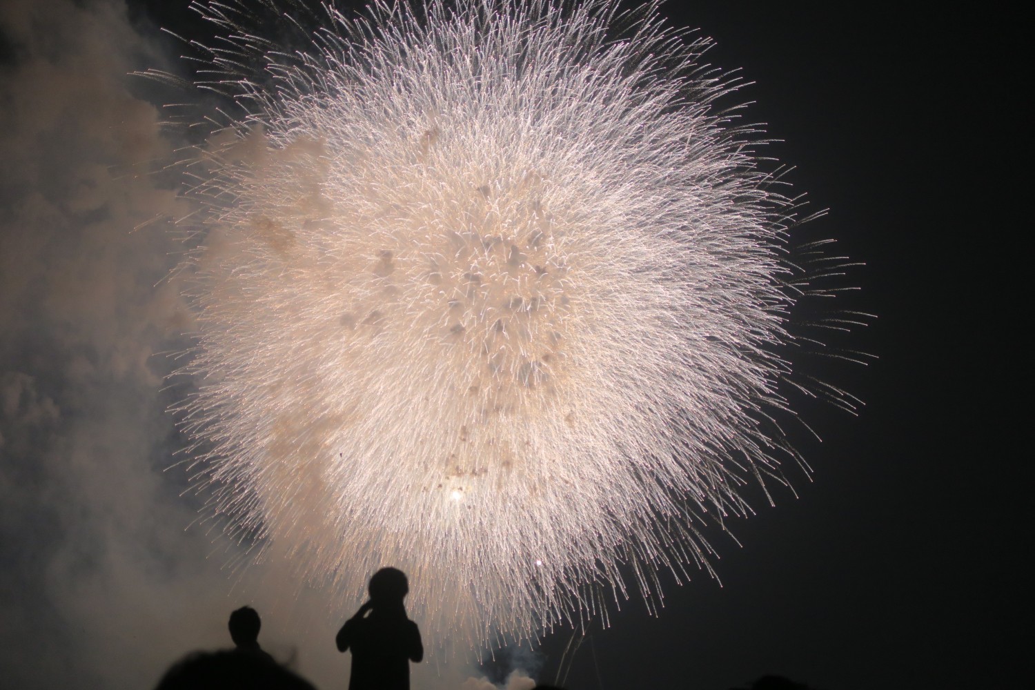 花火(花火视频免费追剧软件)