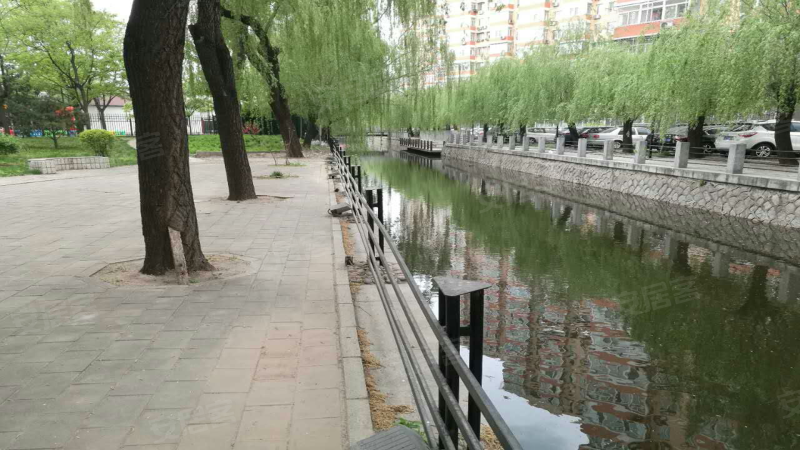 龙阁(494011青龙阁) 龙阁(494011青龙阁)