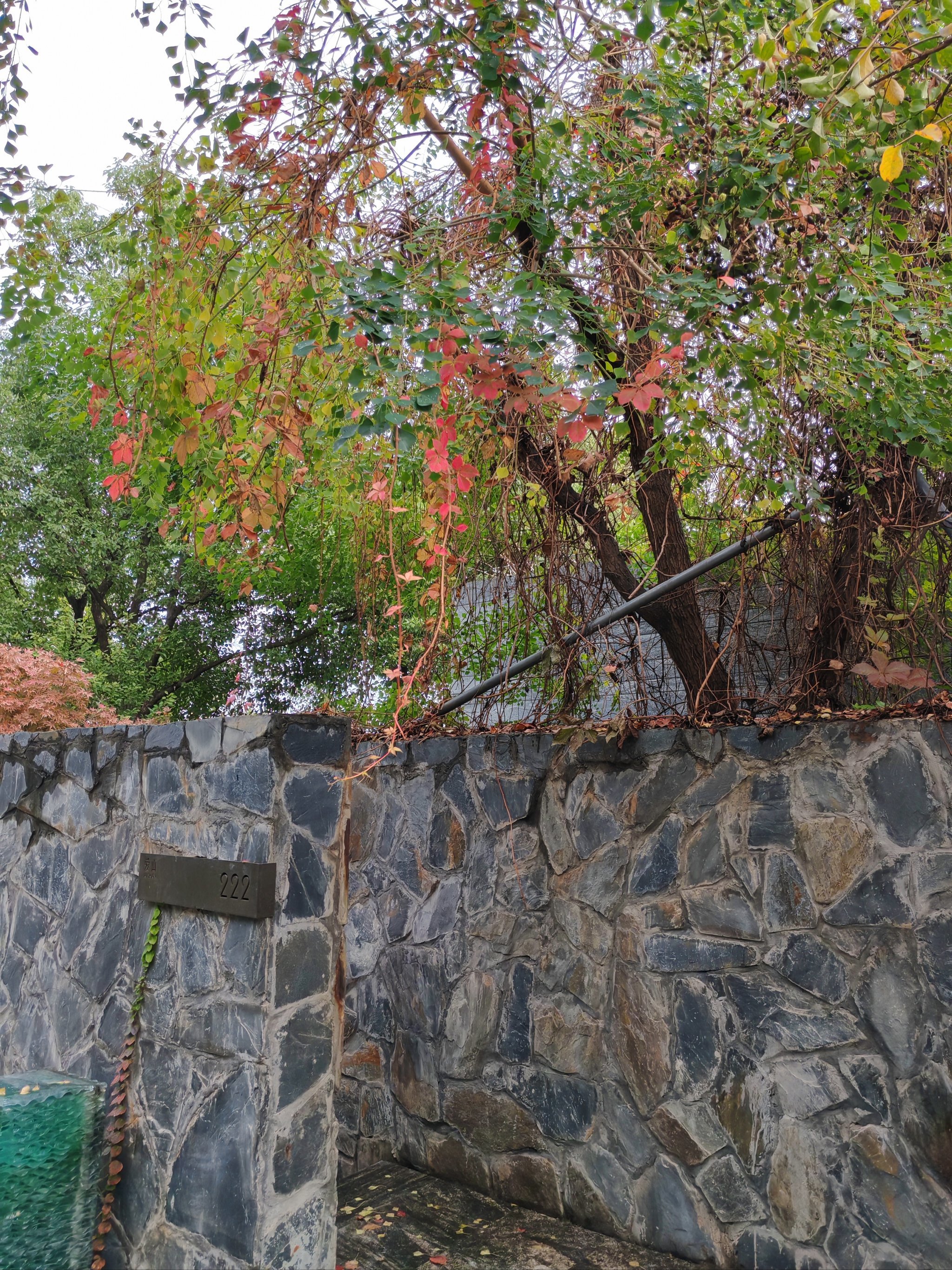 LOEX(loex网名什么意思)