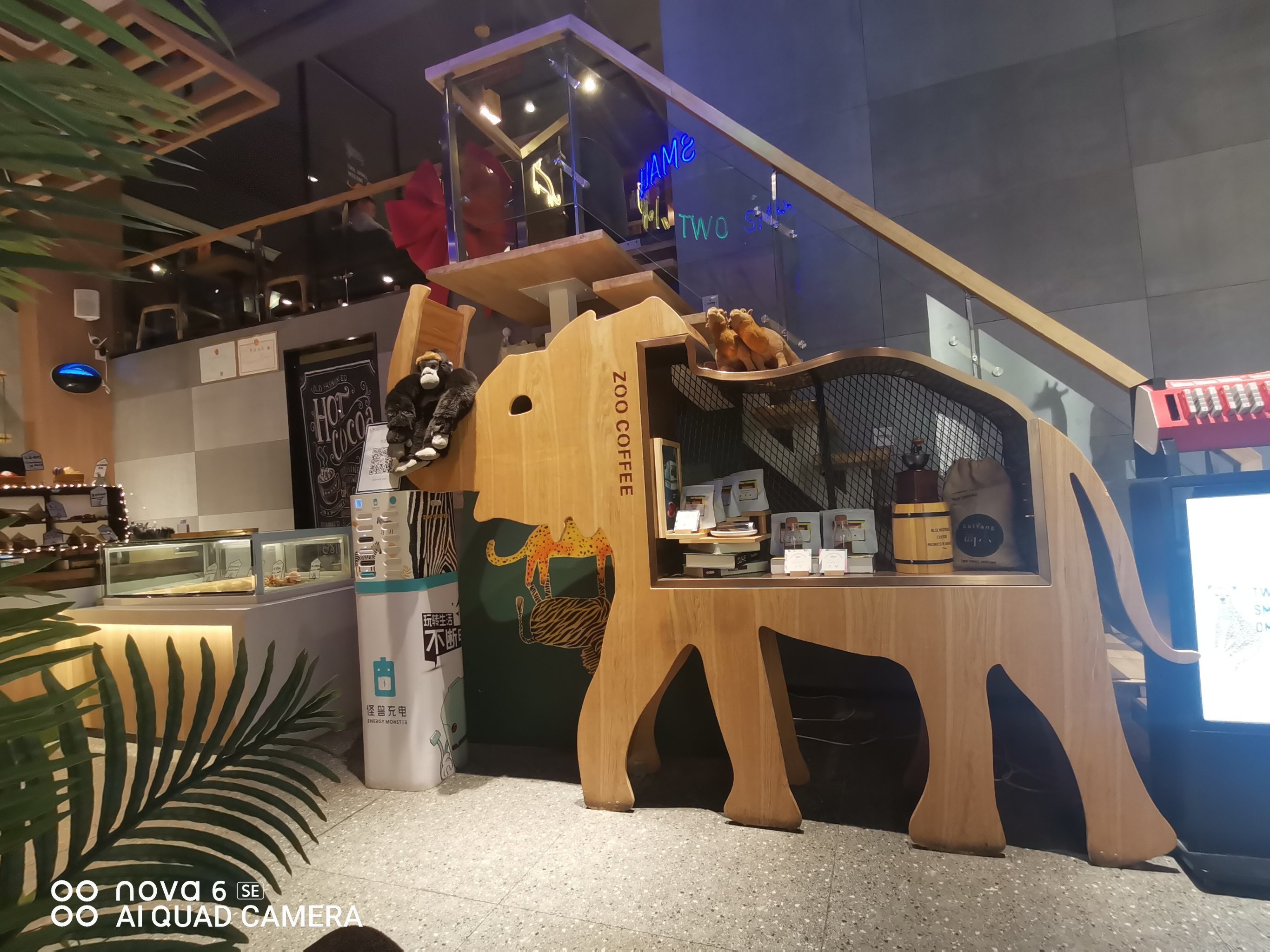 ZOOOO(zoooop英语怎么读)