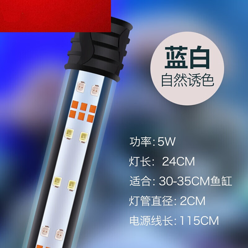 24MEX(24MEX交易所)