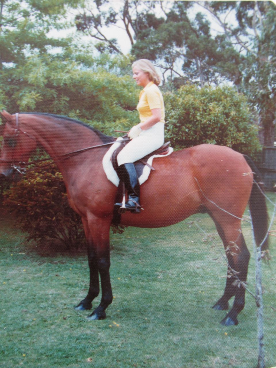 Nocks(Nockstein 奥地利)