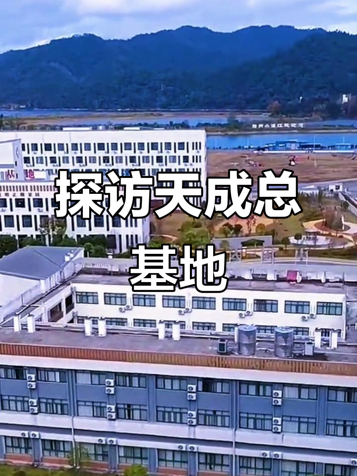 天成(天成说游)