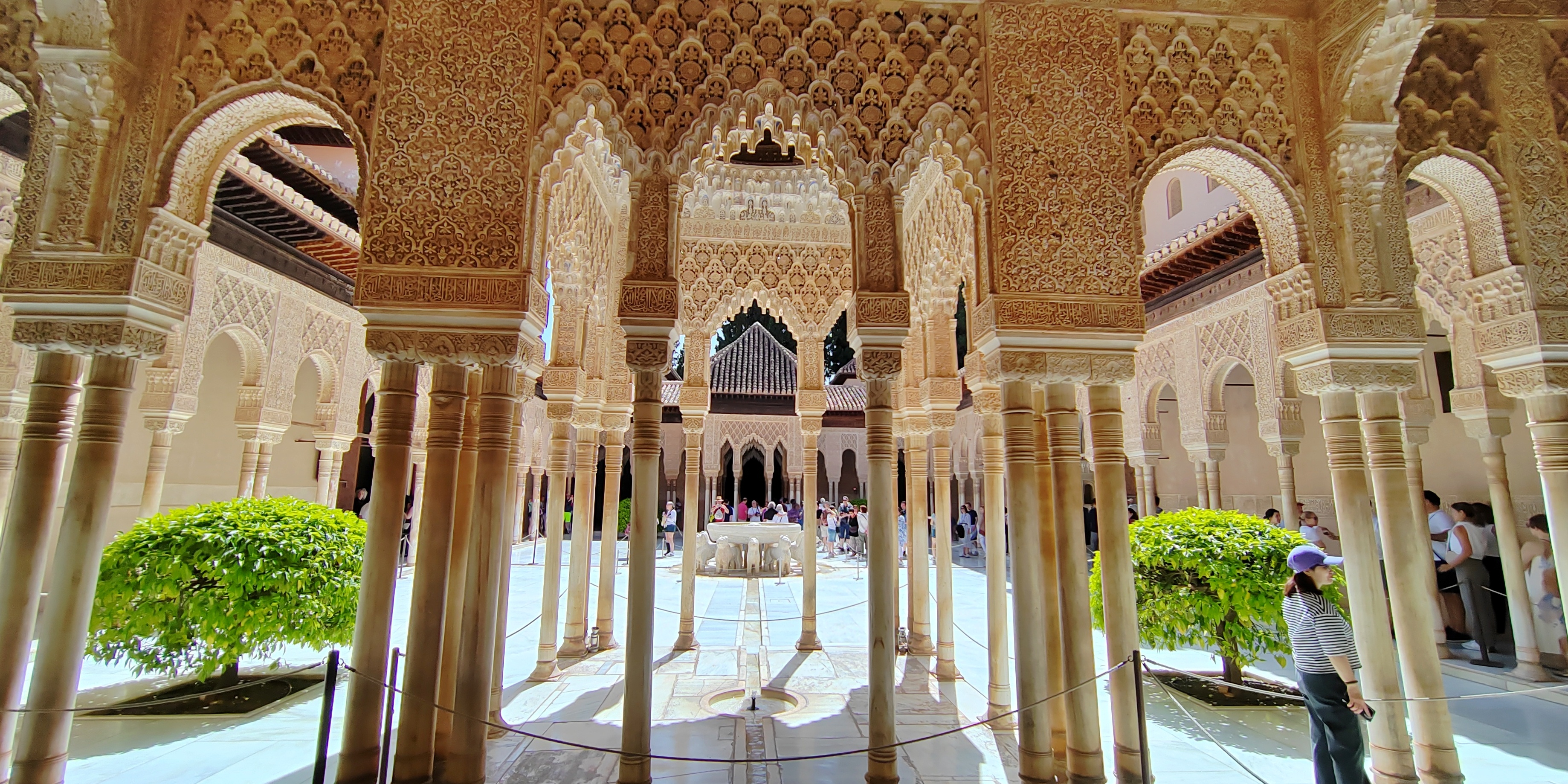 阿格拉斯(阿格拉斯轮胎) 阿格拉斯(阿格拉斯轮胎)