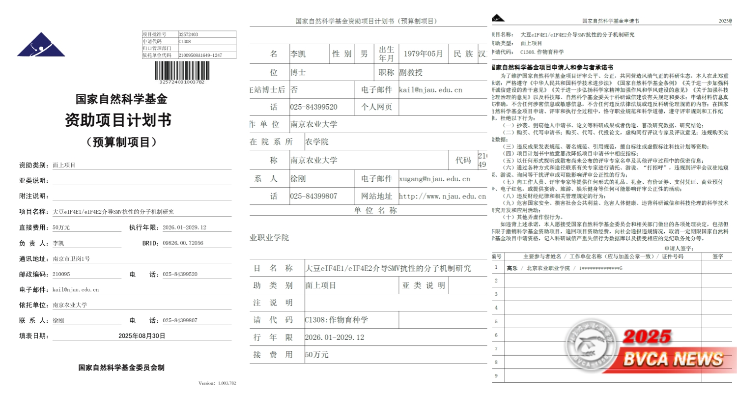 国家自然科学基金查询(国家自然科学基金查询结果)