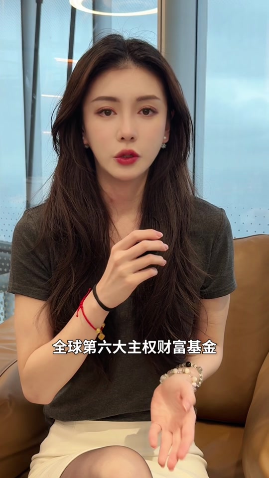 主权基金(卡塔尔主权基金)