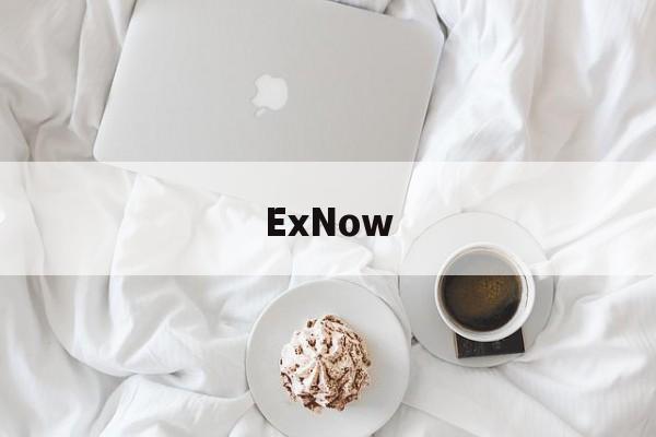 ExNow(exnow交易所不能提现)